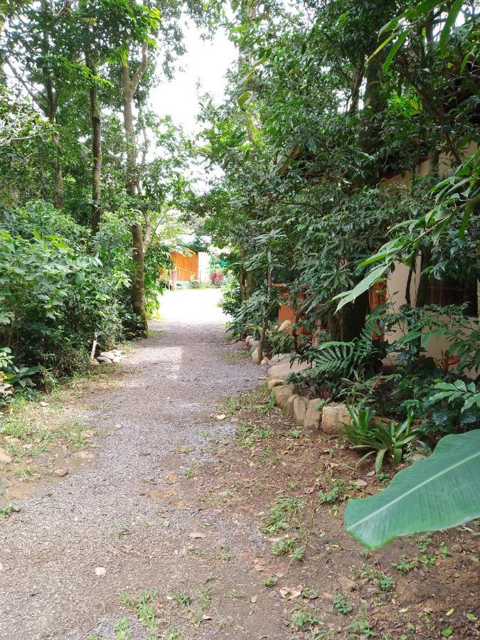 Casitas Del Bosque Monteverde. Esterno foto