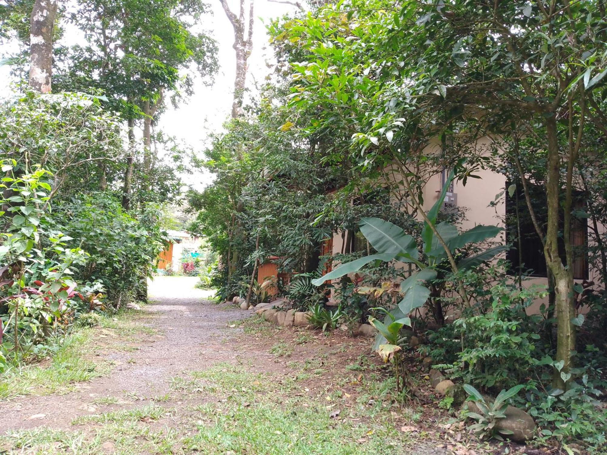 Casitas Del Bosque Monteverde. Camera foto
